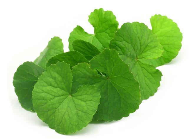 Gotu Kola with Prostamin Forte